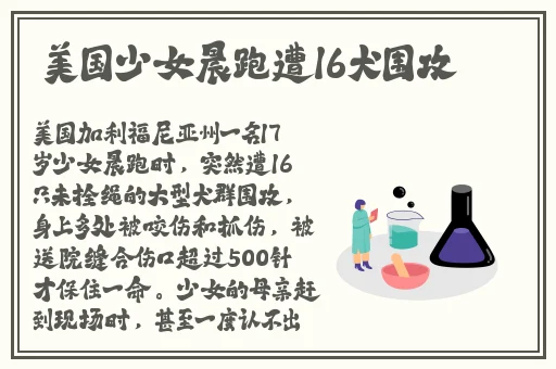 曹县翰林府吃瓜事件